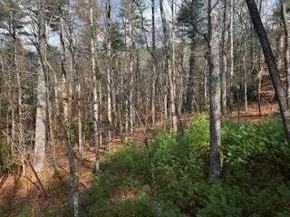 $1,200,000 | 28911 Morganton Highway, Suches, GA 30572