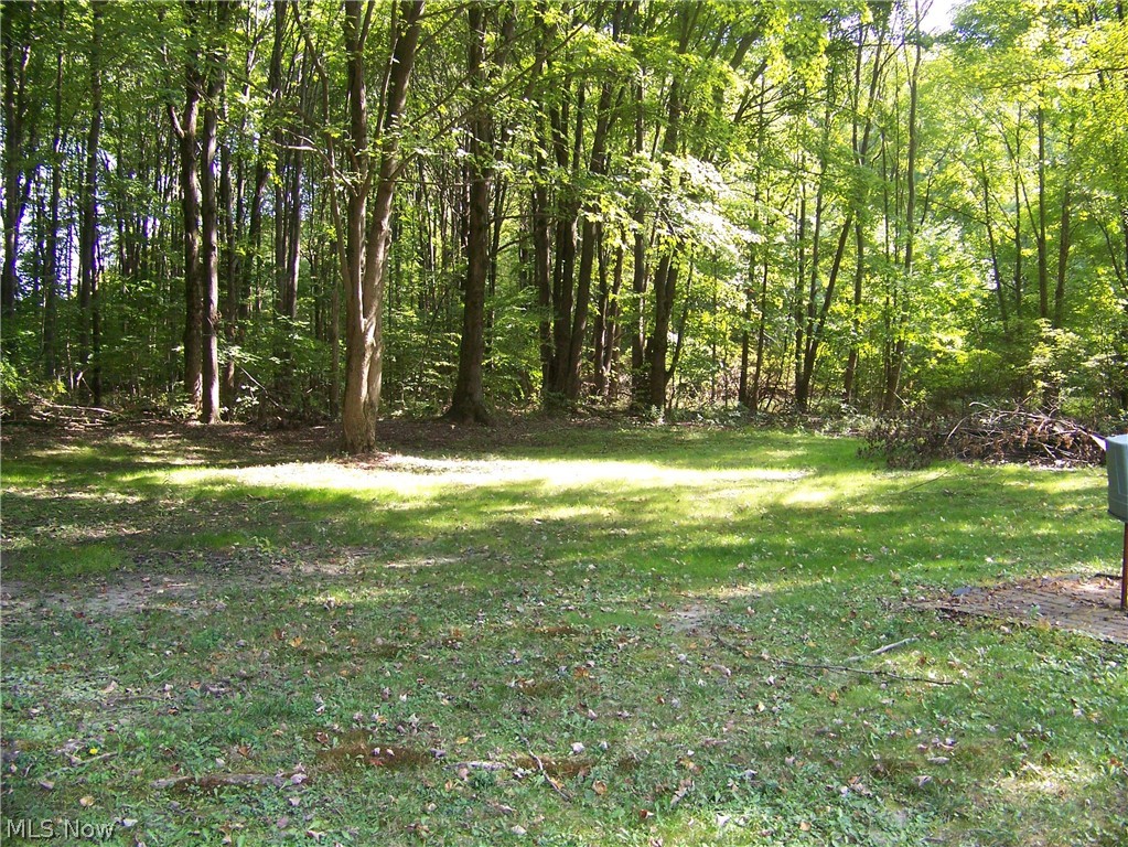 11337 Beard Road New Springfield, OH 44443 - Photo 17 of 17