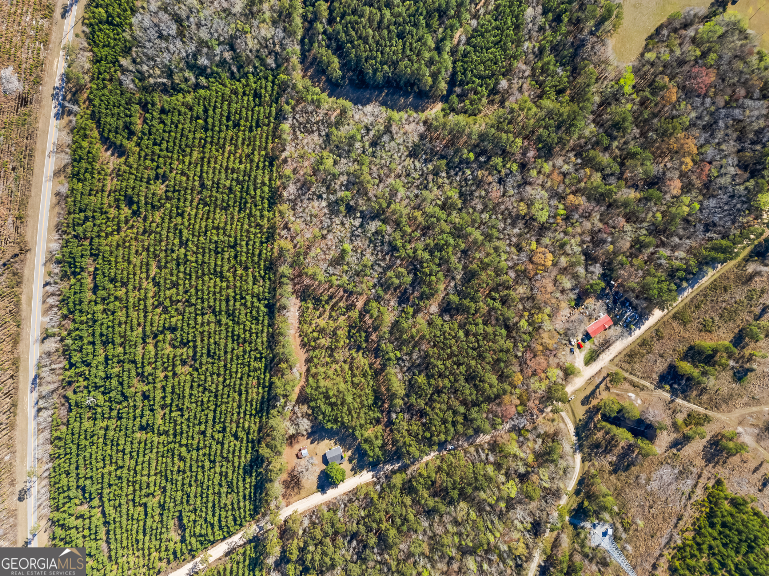 1014 Iler Road Pembroke, GA 31321 - Photo 3 of 8