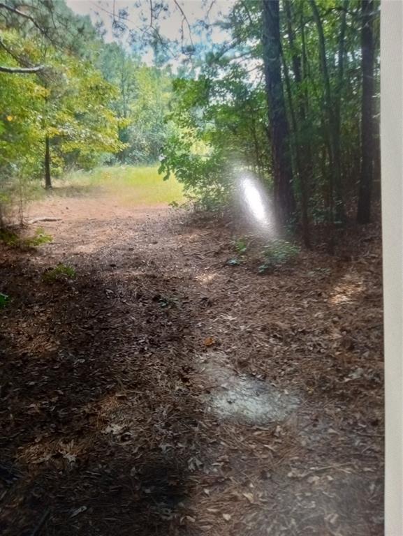165 County Road Marietta, TX 75566 - Photo 9 of 10 a view of yard with green space