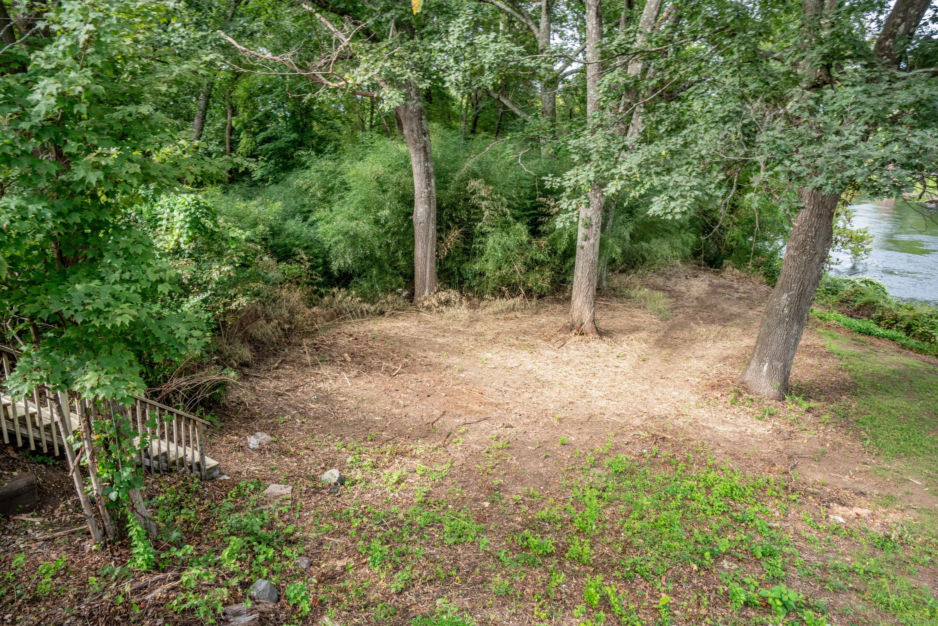 14 Main St Extension Simsbury, CT 06081 - Photo 35 of 39 a view of a forest with trees in the background