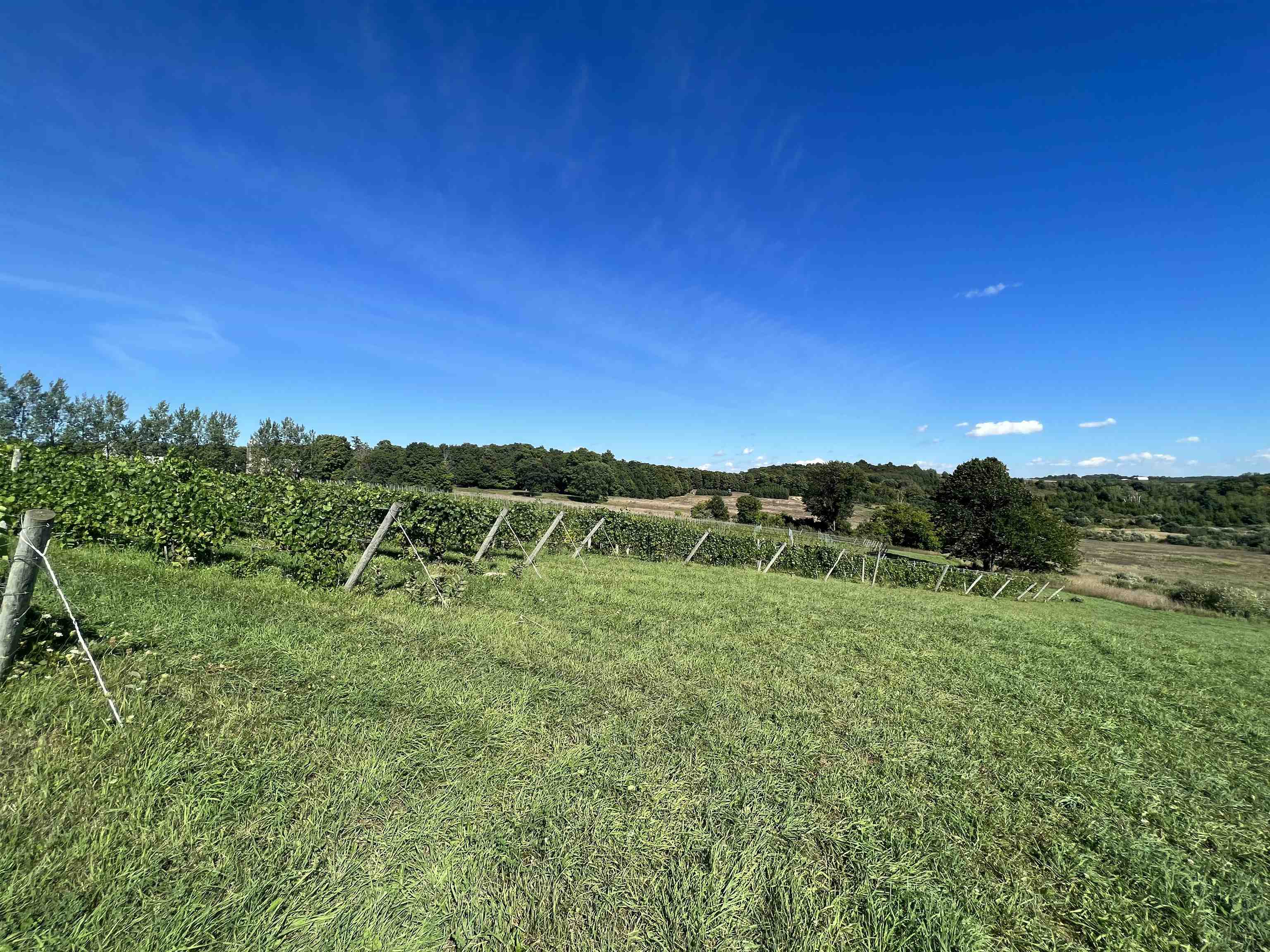 4499 South Schomberg Road Cedar, MI 49621 - Photo 2 of 30