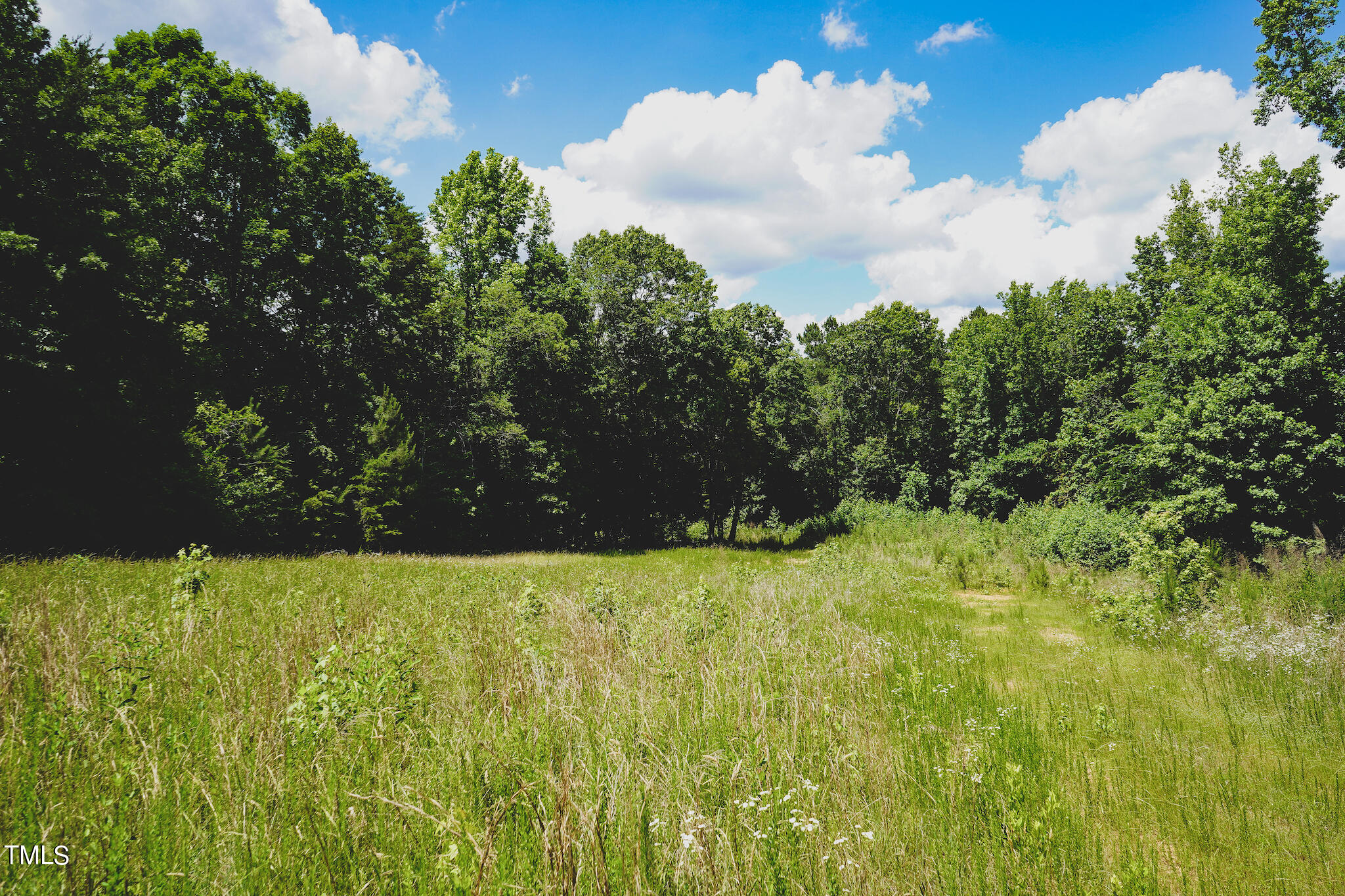111-acres Hobgood Road Rougemont, NC 27572 - Photo 55 of 65 52