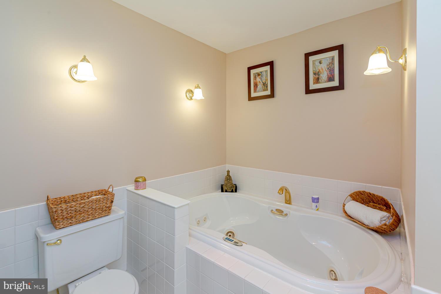 55 Timber Lane Thornton, PA 19373 - Photo 17 of 23 Master Bath Jetted Tub