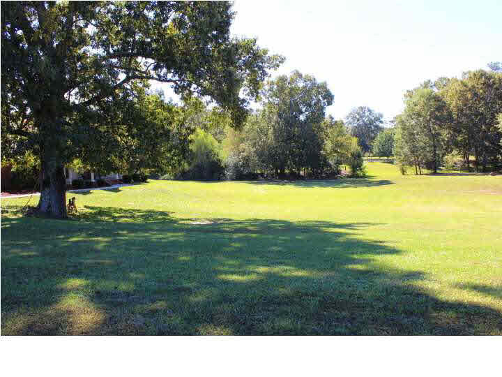 158 McCarty Road Byram, MS 39212 - Photo 46 of 46 Back View