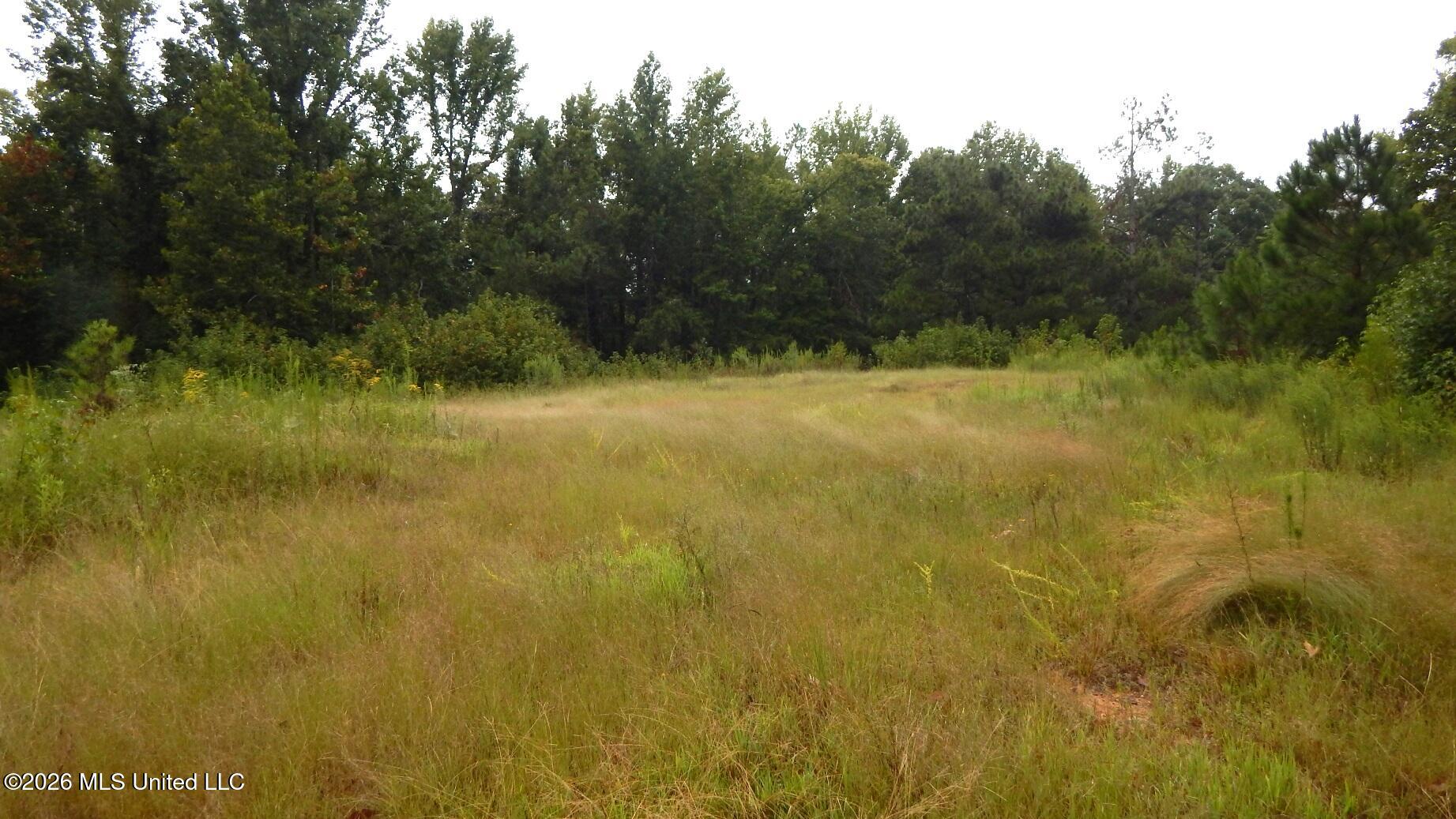 3442 Phelps Road Courtland, MS 38620 - Photo 3 of 15 DSCN7568