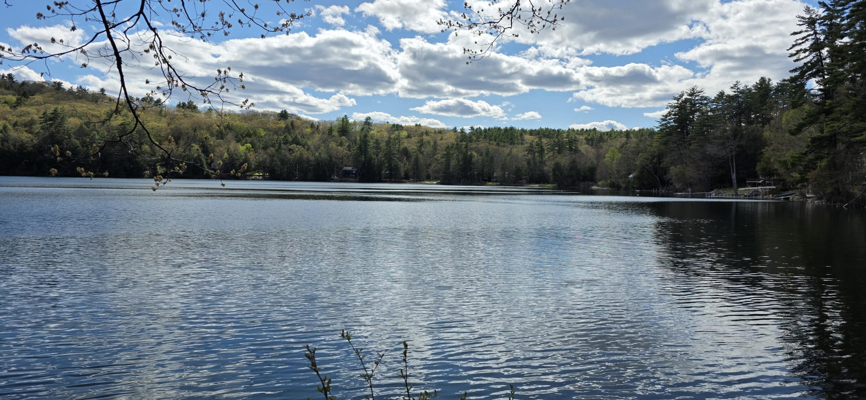 7 Clyde Lane Parsonsfield, ME 04047 - Photo 9 of 25 View Pond