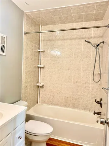 a view of a trees in a yard with plants and large trees