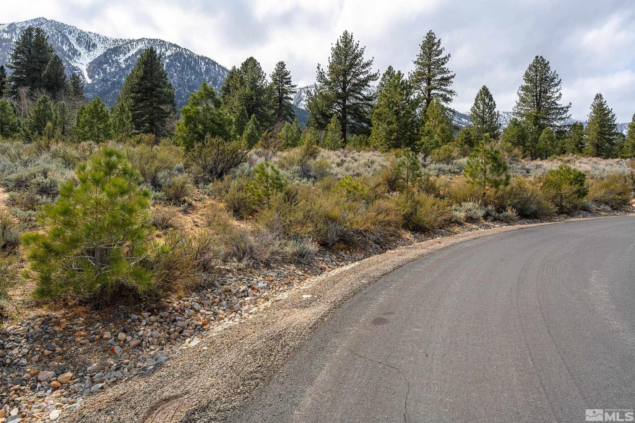 297 Five Creek Road Gardnerville, NV 89460 - Photo 3 of 9 Photo 3