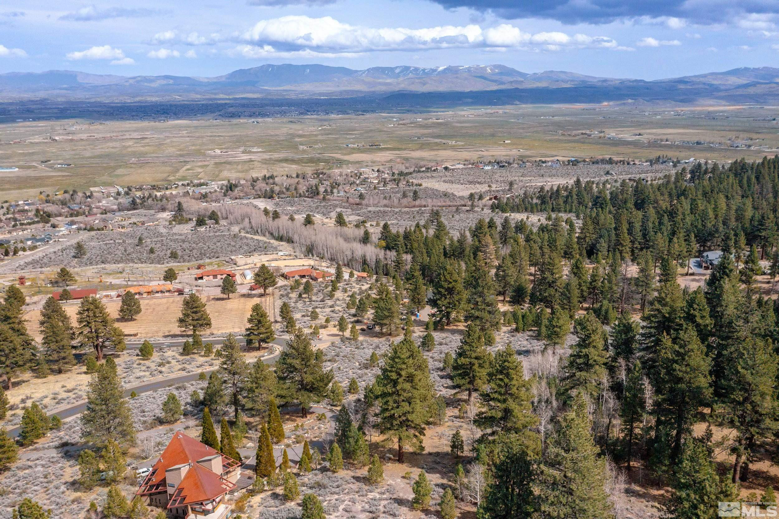 297 Five Creek Road Gardnerville, NV 89460 - Photo 4 of 9 Photo 4