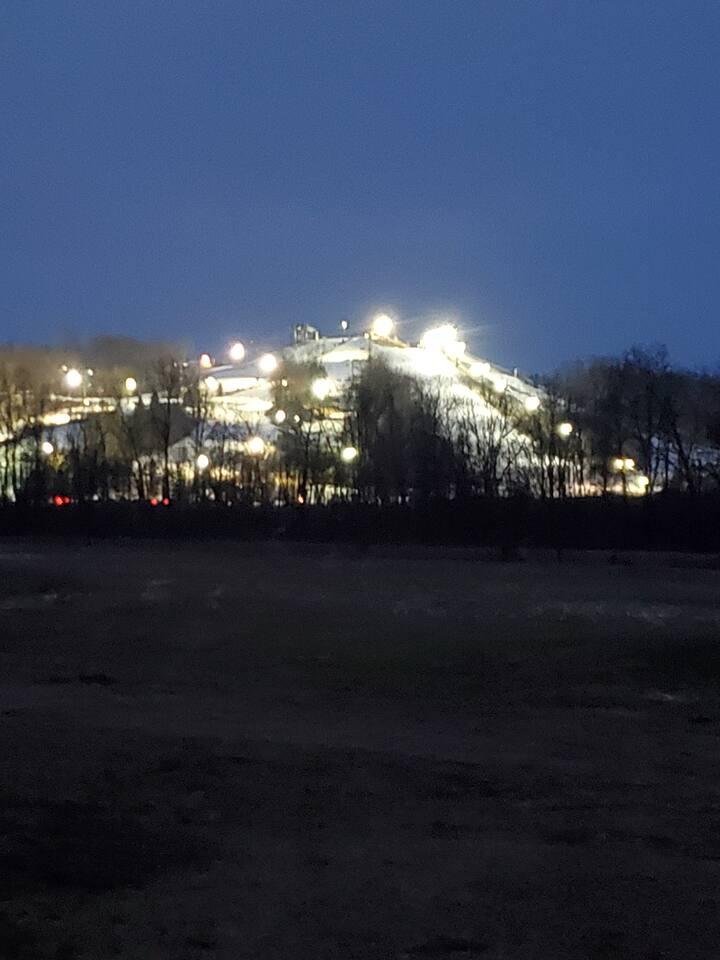 722 River Road Otsego, MI 49078 - Photo 32 of 36 #10