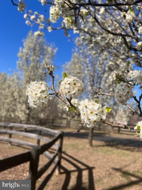 23 Richmond Road Castleton, VA 22716 - Photo 14 of 75