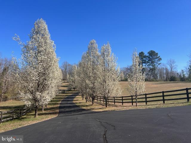 23 Richmond Road Castleton, VA 22716 - Photo 4 of 75 Paved Driveway