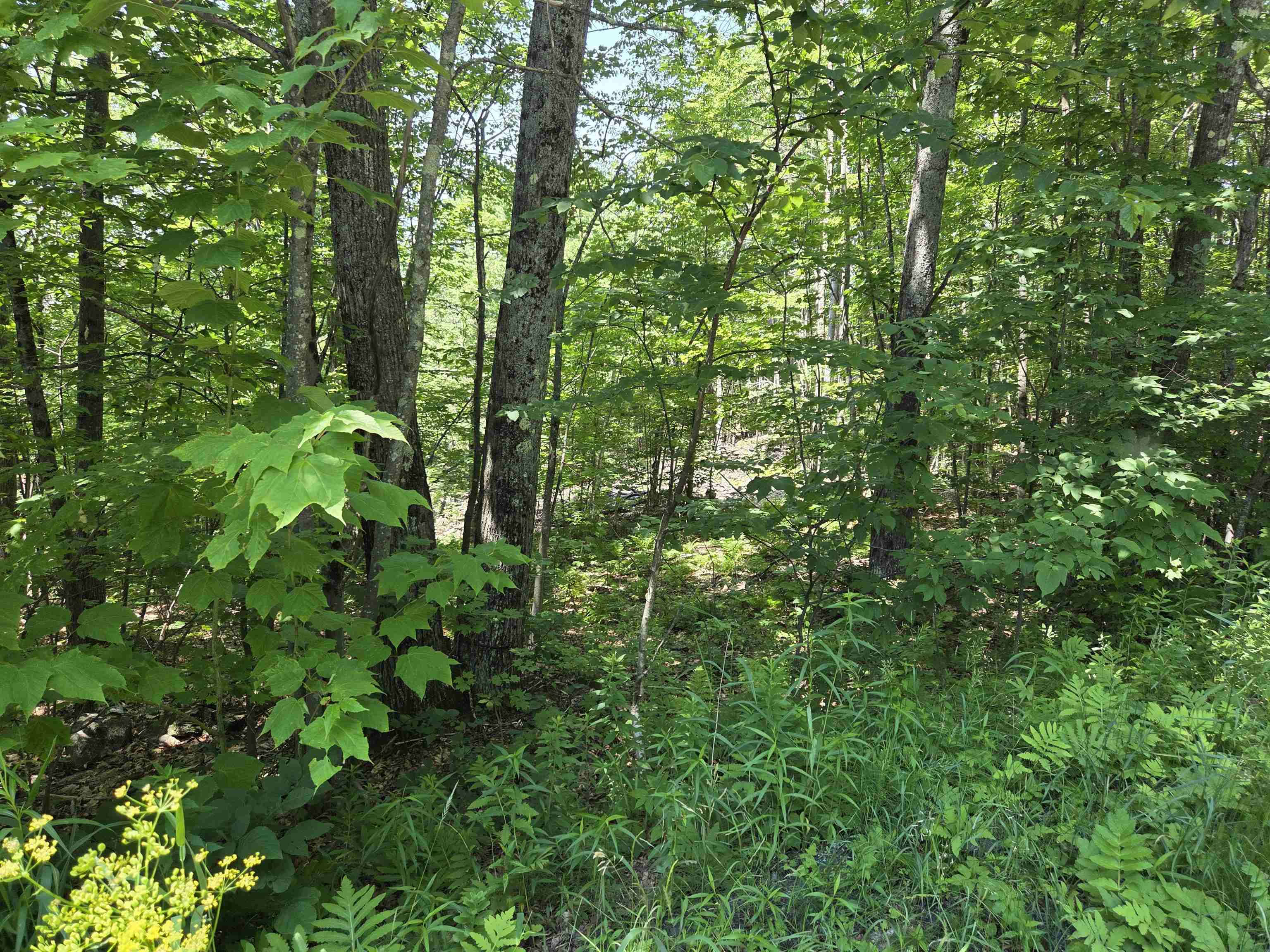 X Methodist Hill Road Enfield, NH 03748 - Photo 2 of 6