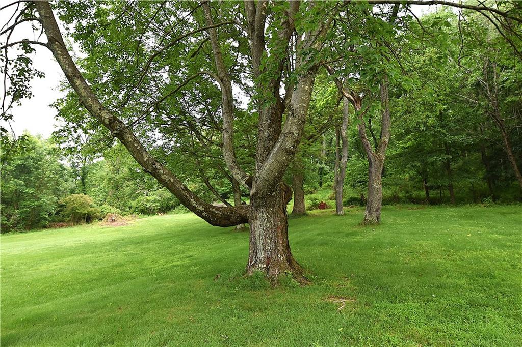 714 Colonial Drive Apollo, PA 15613 - Photo 3 of 32 a huge green field with lots of trees