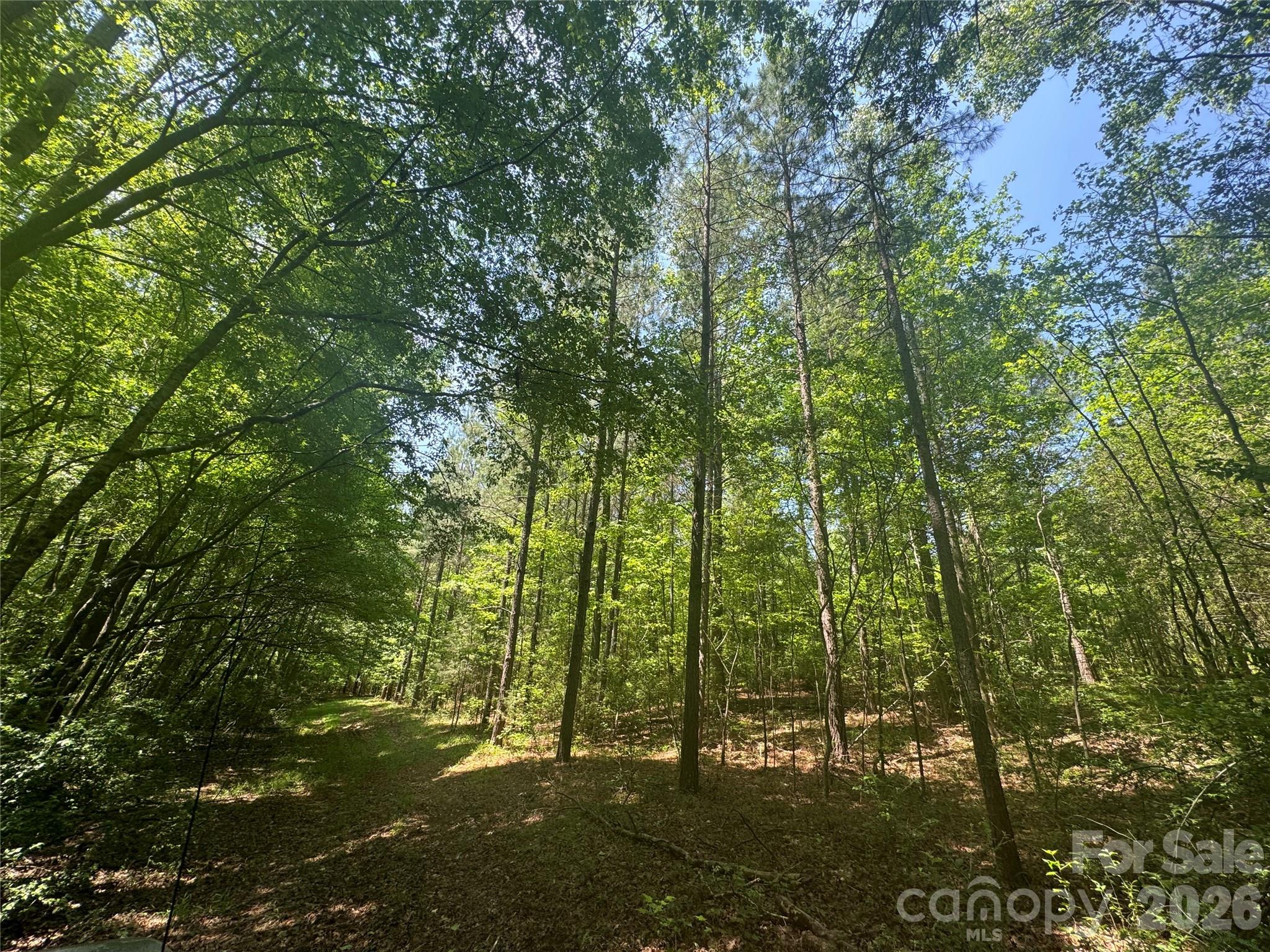 1011 Ratchford Road York, SC 29745 - Photo 33 of 35