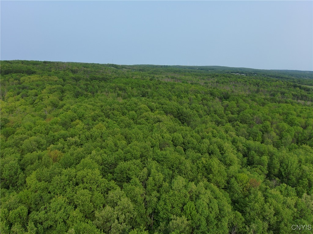 0 Lynch Road Newport, NY 13416 - Photo 2 of 3