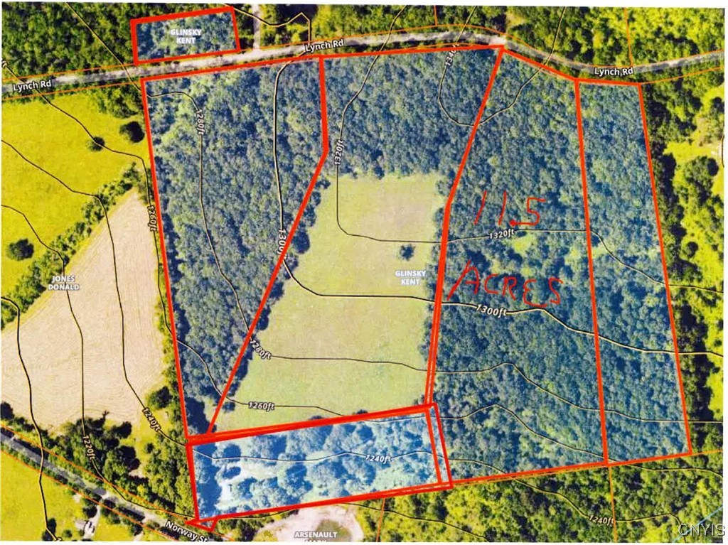 0 Lynch Road Newport, NY 13416 - Photo 3 of 3