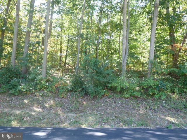 Lot 2 Bethlehem Church Road Red Lion, PA 17356 - Photo 3 of 9