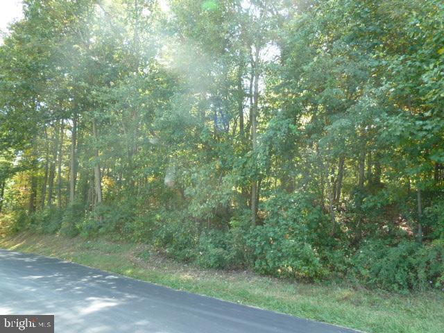 Lot 2 Bethlehem Church Road Red Lion, PA 17356 - Photo 8 of 9