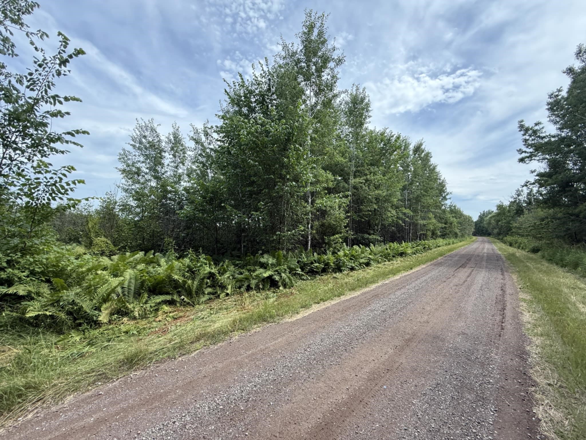 Xxx Oestreich Road Wright, MN 55798 - Photo 3 of 5 Gallery Image 3