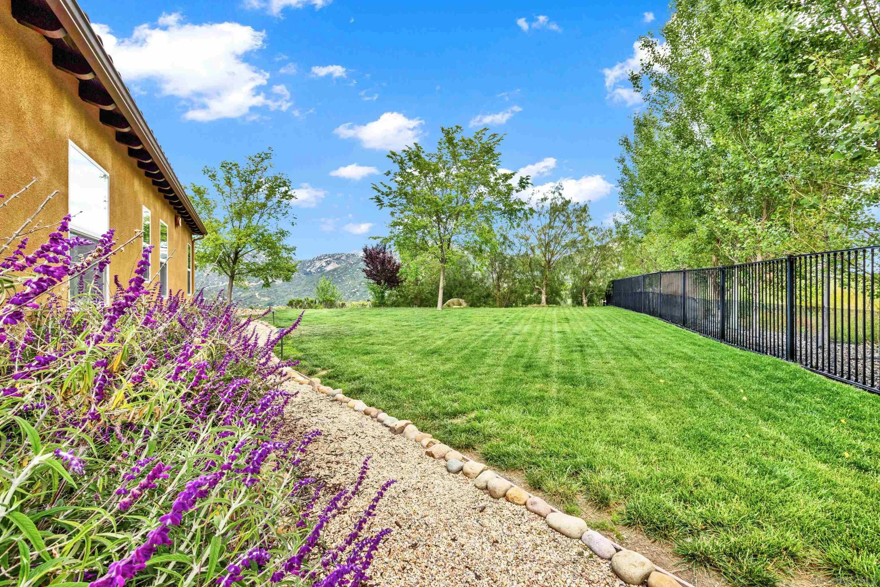 12884 Vineyard Crest Place Lakeside, CA 92040 - Photo 47 of 53 a backyard of a house with lots of green space and plants