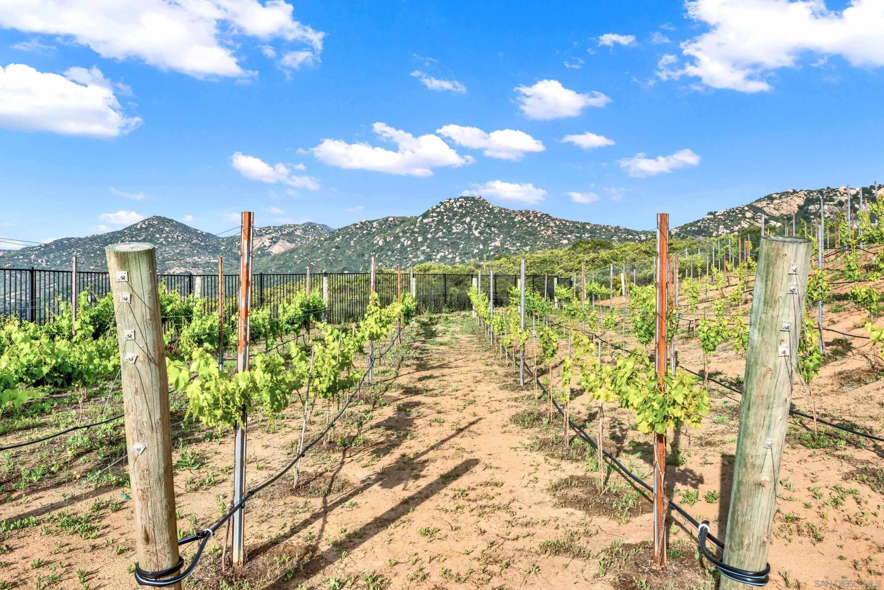 12884 Vineyard Crest Place Lakeside, CA 92040 - Photo 48 of 53 a view of a lake with a garden