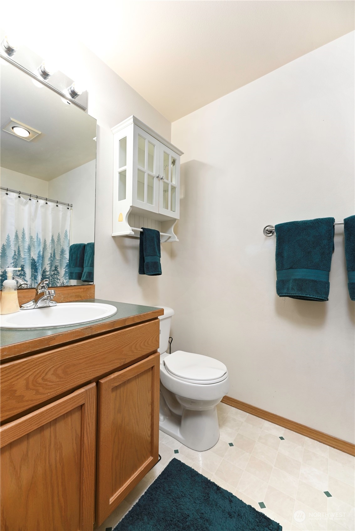 1105 Kessler Drive Sultan, WA 98294 - Photo 19 of 25 a bathroom with a sink a toilet and a mirror