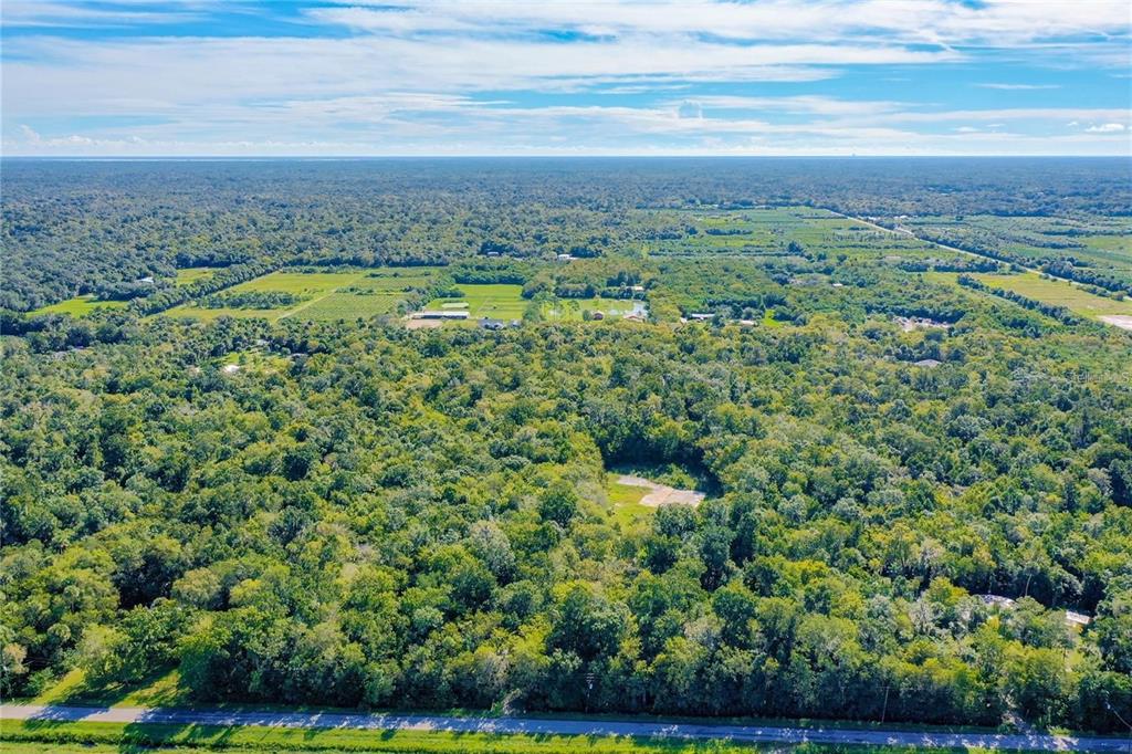 Elm Street Oviedo, FL 32765 - Photo 15 of 16 a view of a garden with an outdoor space