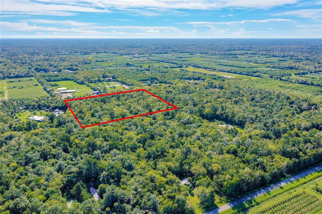 Elm Street Oviedo, FL 32765 - Photo 7 of 16 a view of a city with lush green forest