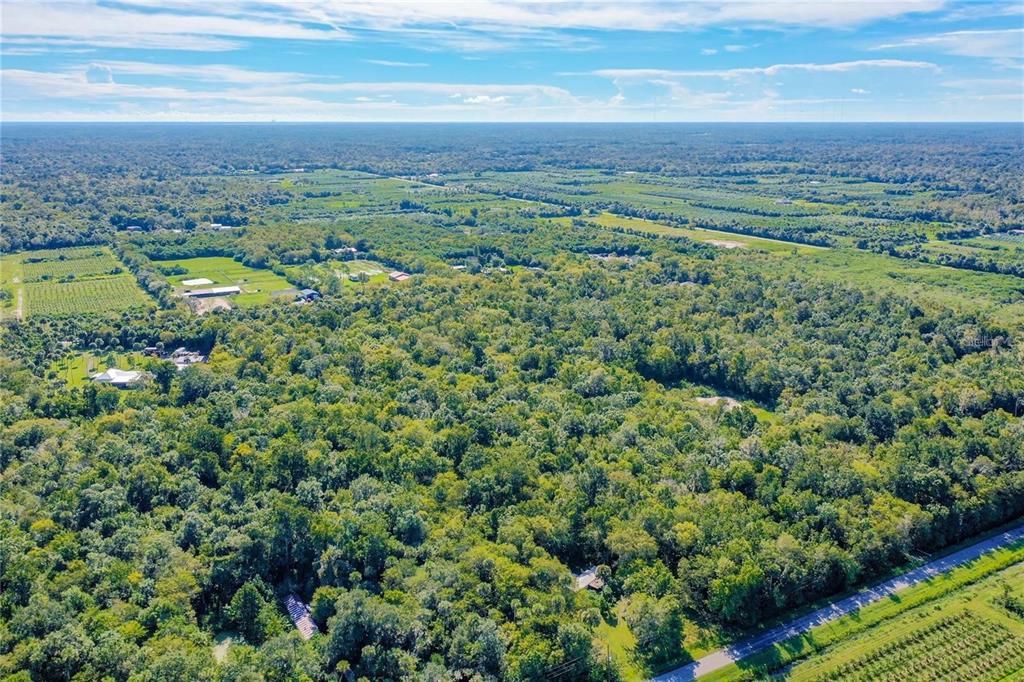 Elm Street Oviedo, FL 32765 - Photo 8 of 16 an aerial view of multiple house