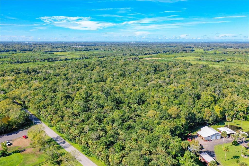 Elm Street Oviedo, FL 32765 - Photo 10 of 16 a view of a green field