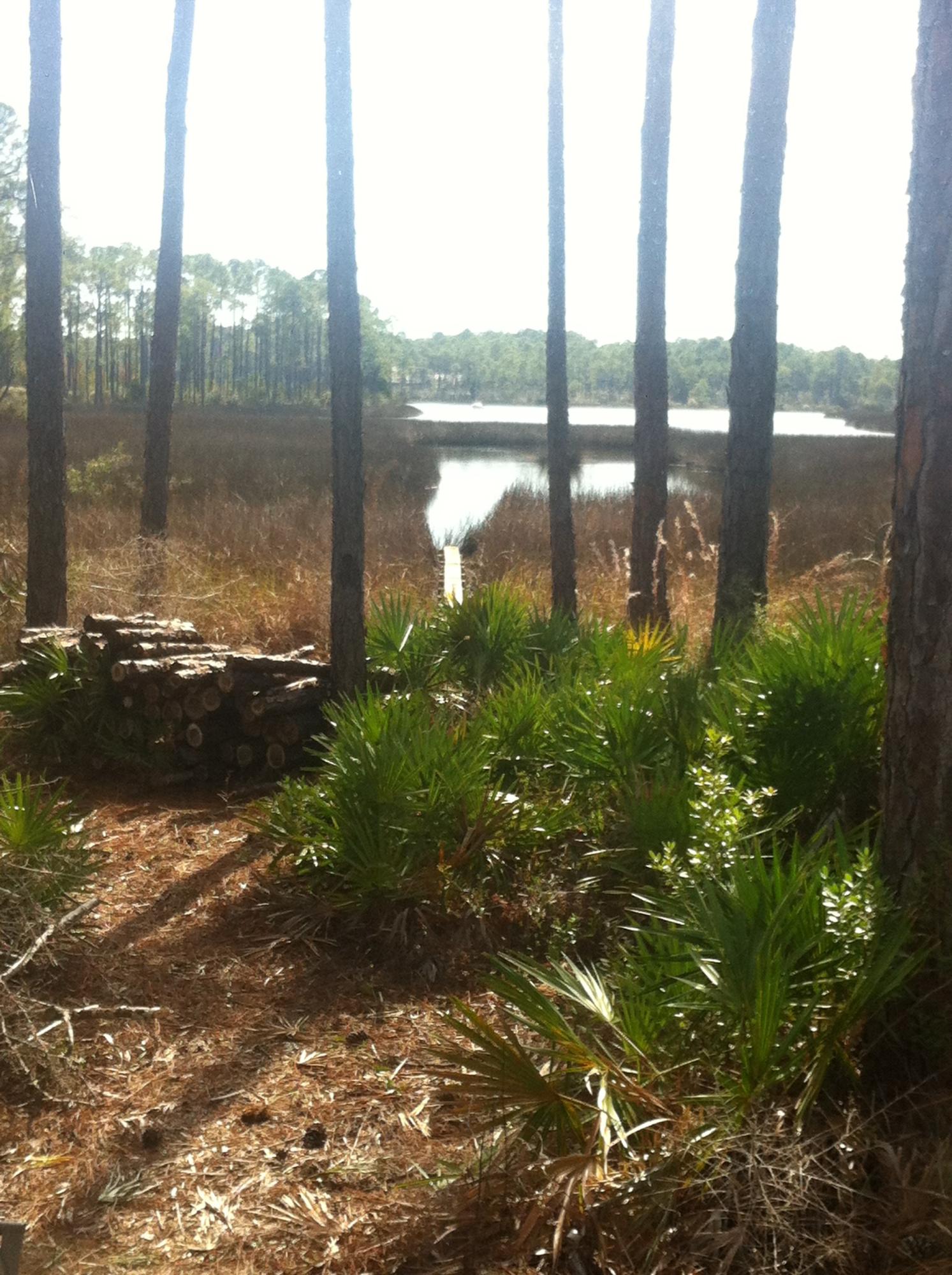191 West Nursery Road Santa Rosa Beach, FL 32459 - Photo 2 of 11 a view of a lake from a yard