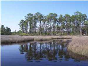 191 West Nursery Road Santa Rosa Beach, FL 32459 - Photo 4 of 11 a view of river covered with trees