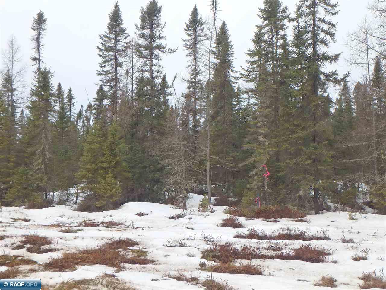 7127 Dallas Road Embarrass, MN 55732 - Photo 8 of 10