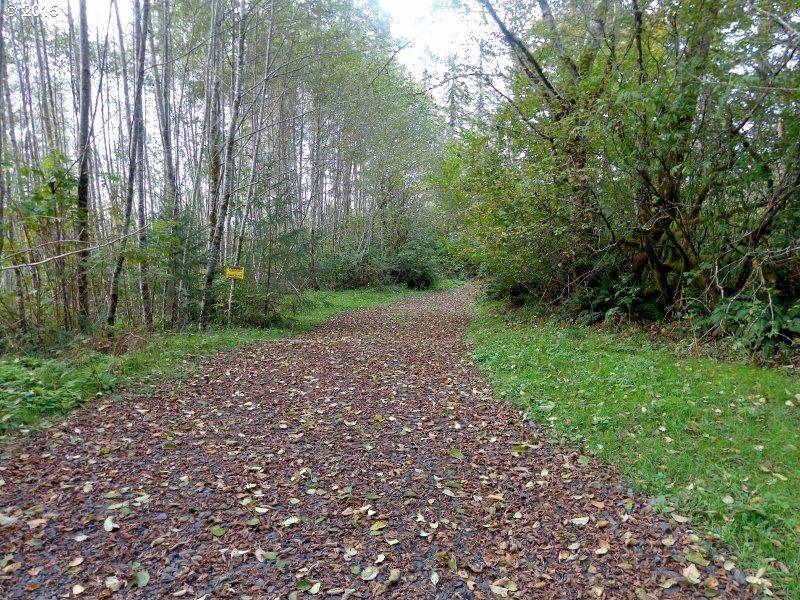 22505 Highway 101 South Beaver, OR 97112 - Photo 11 of 30 AccessRd2