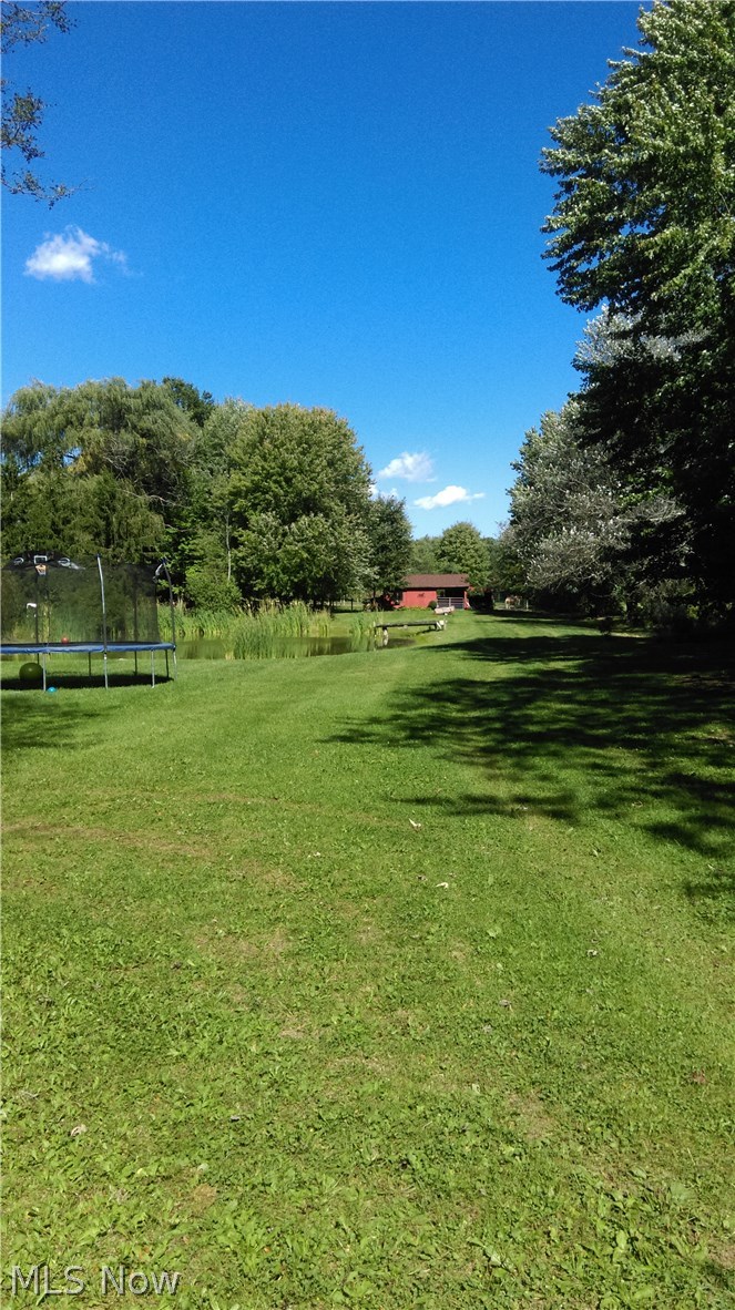 5995 Buffham Road Seville, OH 44273 - Photo 22 of 22 Backyard!!!!!!