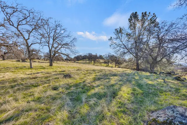 a view of yard with tree in the background