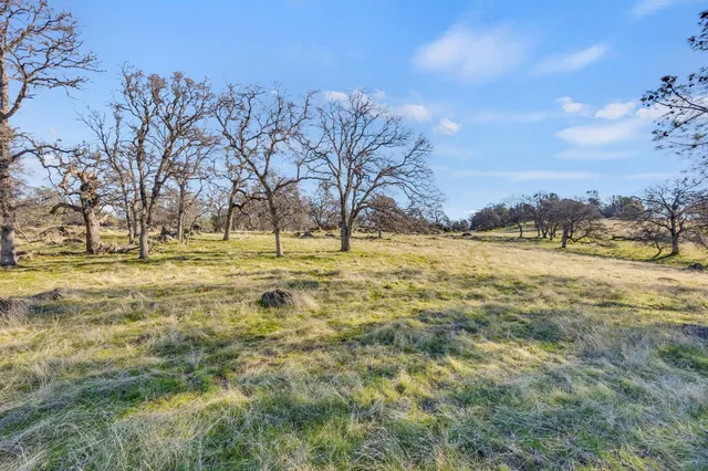a view of a yard with furniture and table