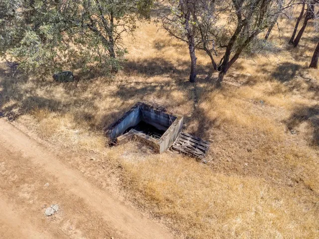 a view of a yard with plants and large trees