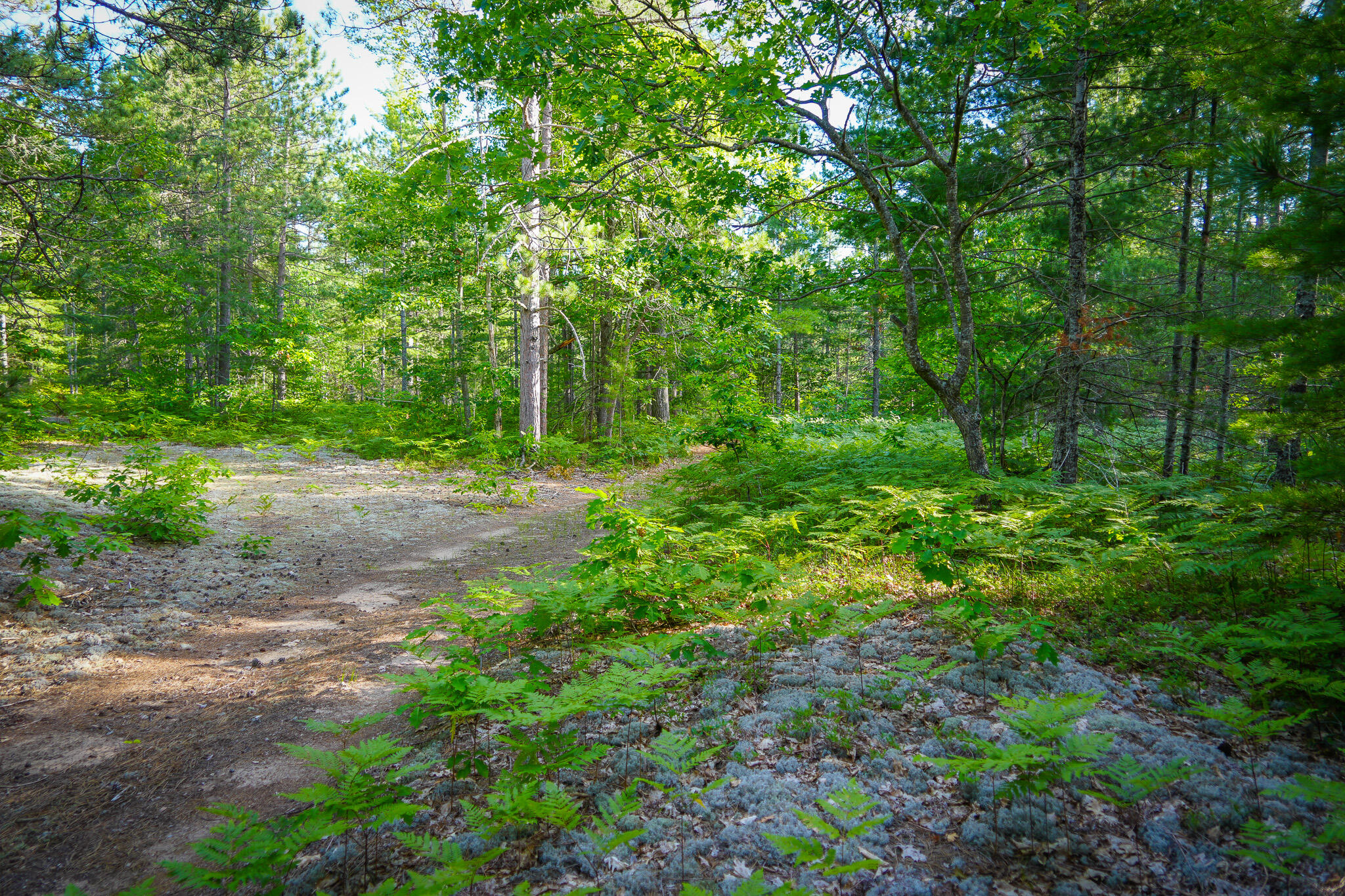 3505 Timber Lost Road Paradise, MI 49768 - Photo 57 of 63 DSC01392