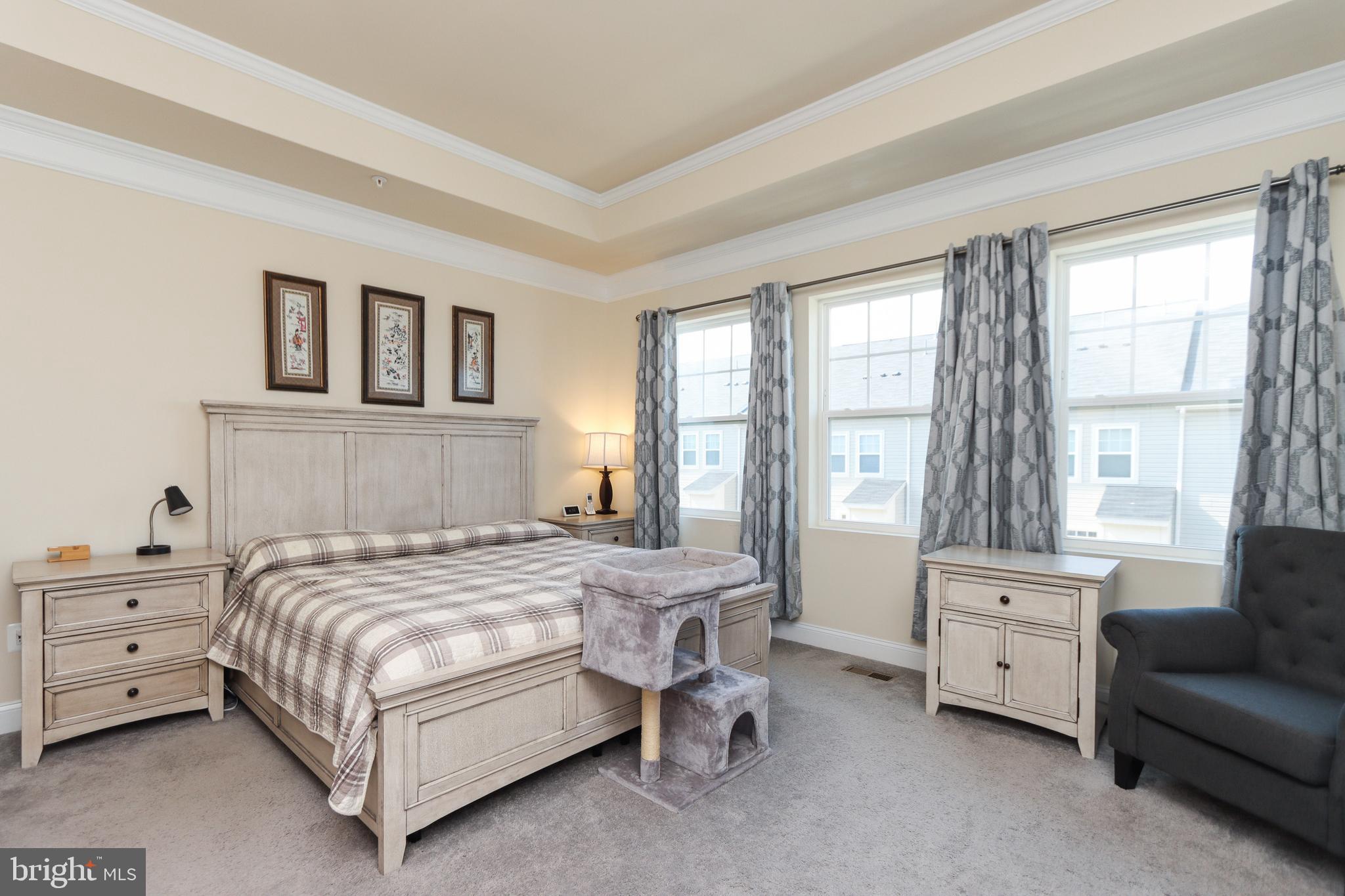 7146 Proclamation Place Frederick, MD 21703 - Photo 29 of 54 SPACIOUS OWNERS SUITE