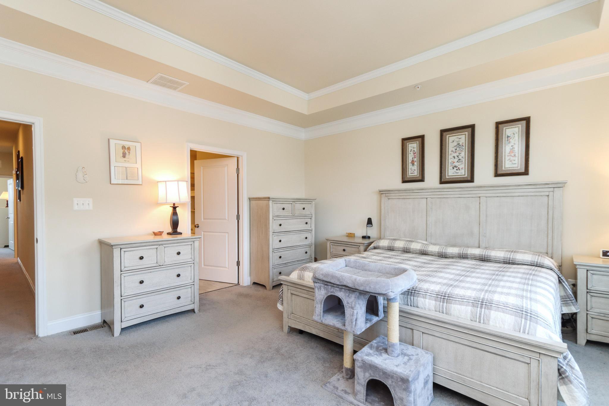 7146 Proclamation Place Frederick, MD 21703 - Photo 31 of 54 OWNERS SUITE