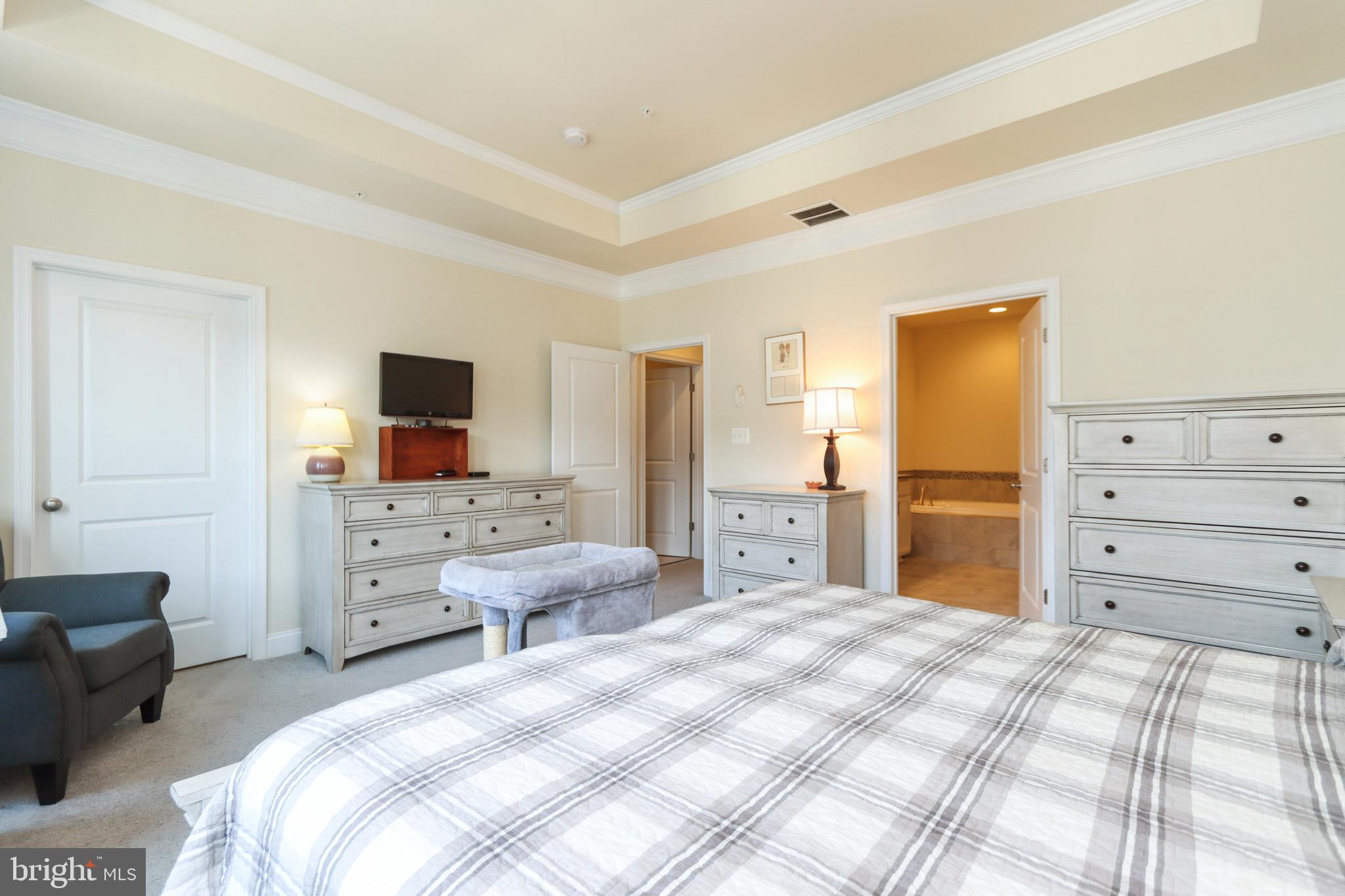 7146 Proclamation Place Frederick, MD 21703 - Photo 32 of 54 OWNERS SUITE