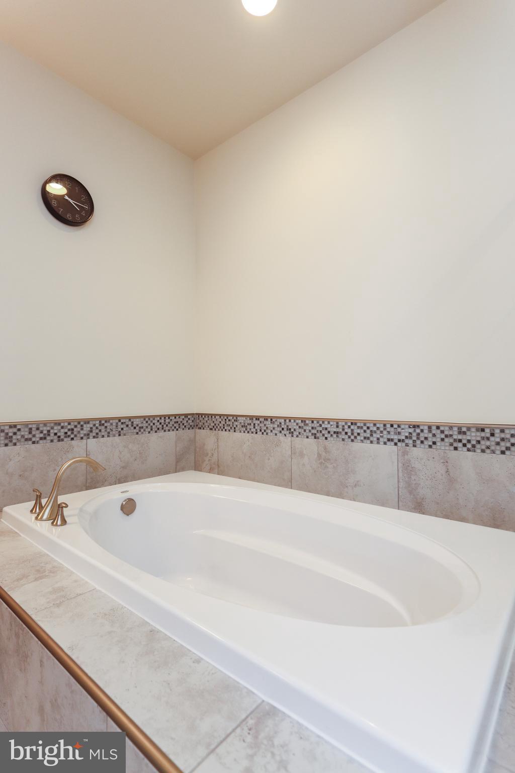 7146 Proclamation Place Frederick, MD 21703 - Photo 38 of 54 SOAK TUB