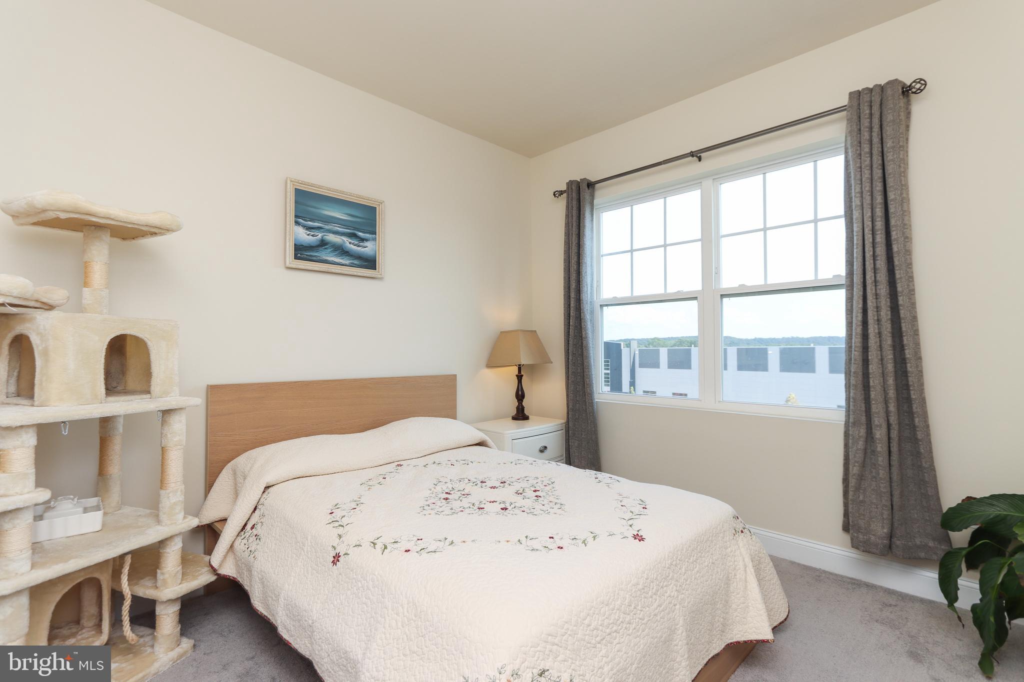 7146 Proclamation Place Frederick, MD 21703 - Photo 43 of 54 BEDROOM 2