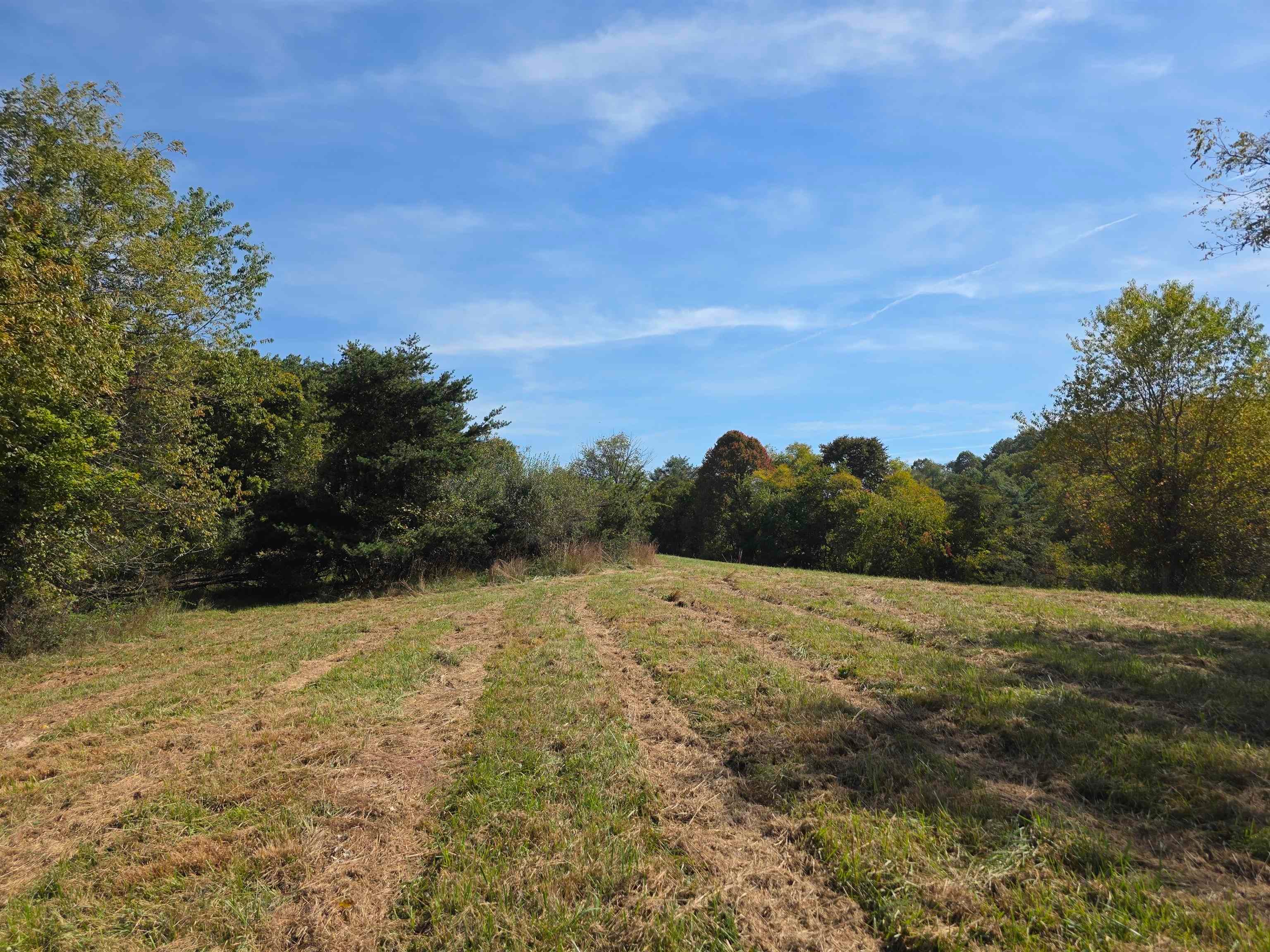 Tbd Ridge Road Northeast Pilot, VA 24138 - Photo 14 of 26 Gallery Image 14