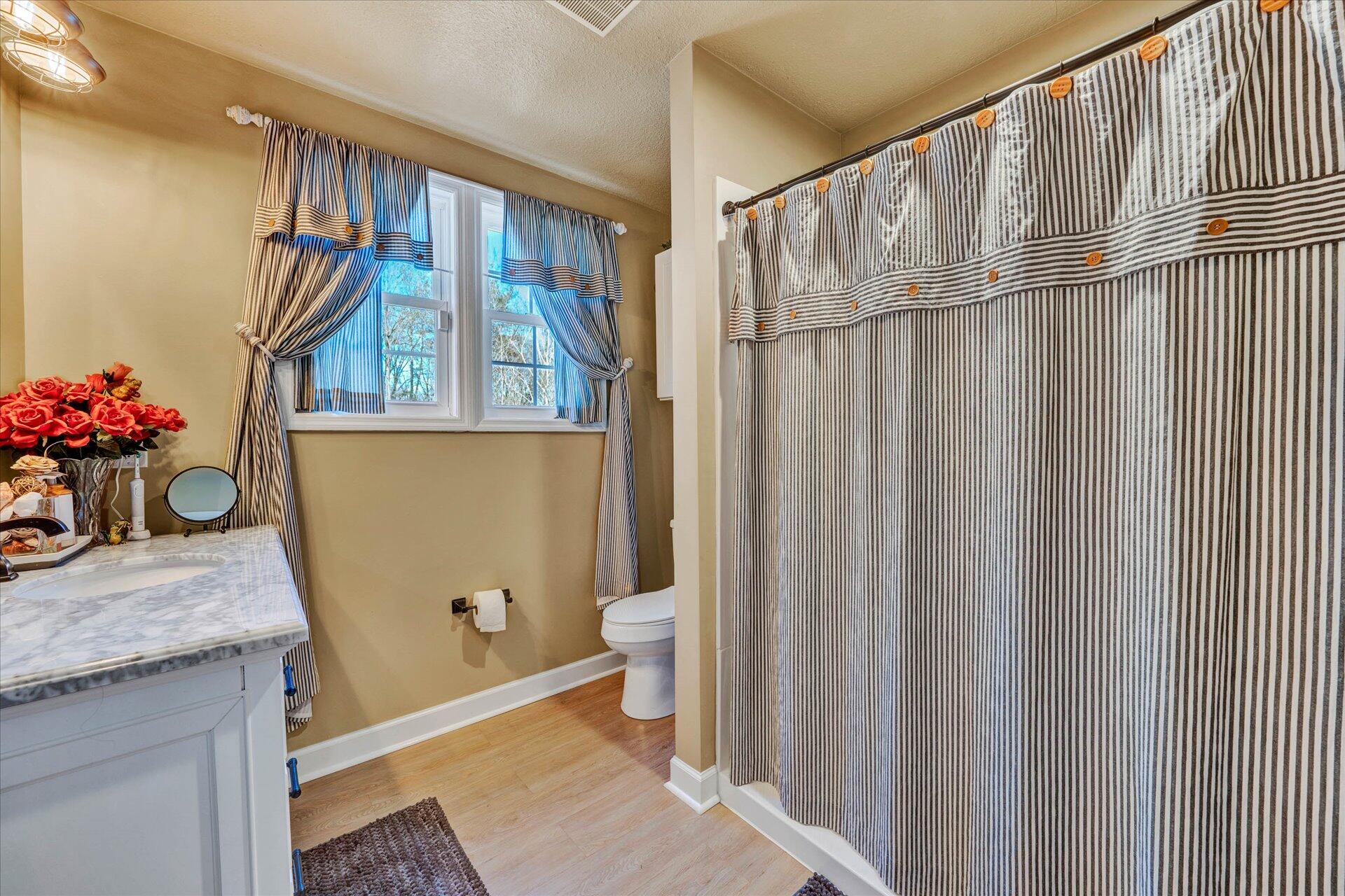 110 Nursery Road Boones Mill, VA 24065 - Photo 28 of 33 a bathroom with a sink toilet and a mirror