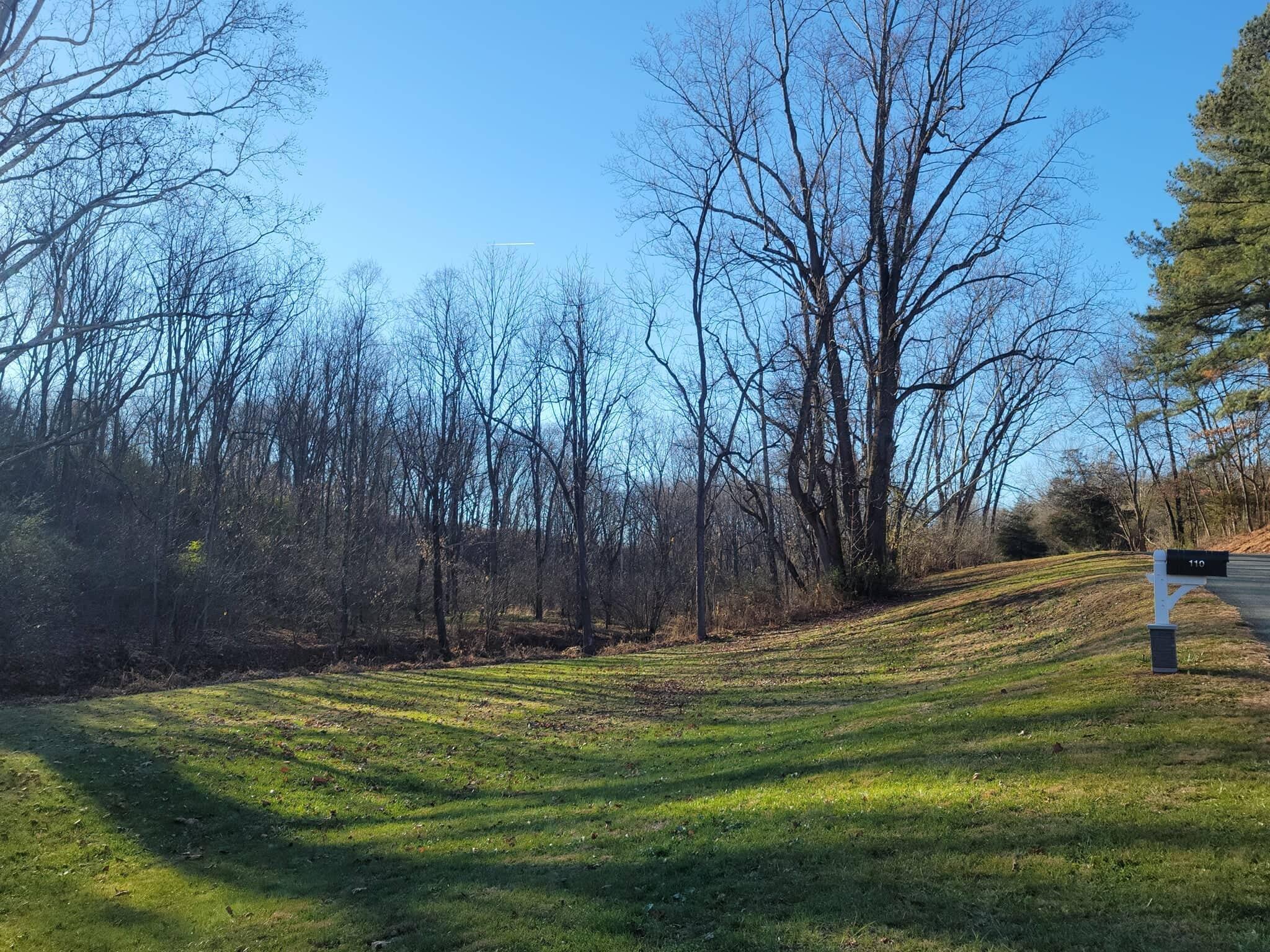110 Nursery Road Boones Mill, VA 24065 - Photo 33 of 33 a garden view with tall trees