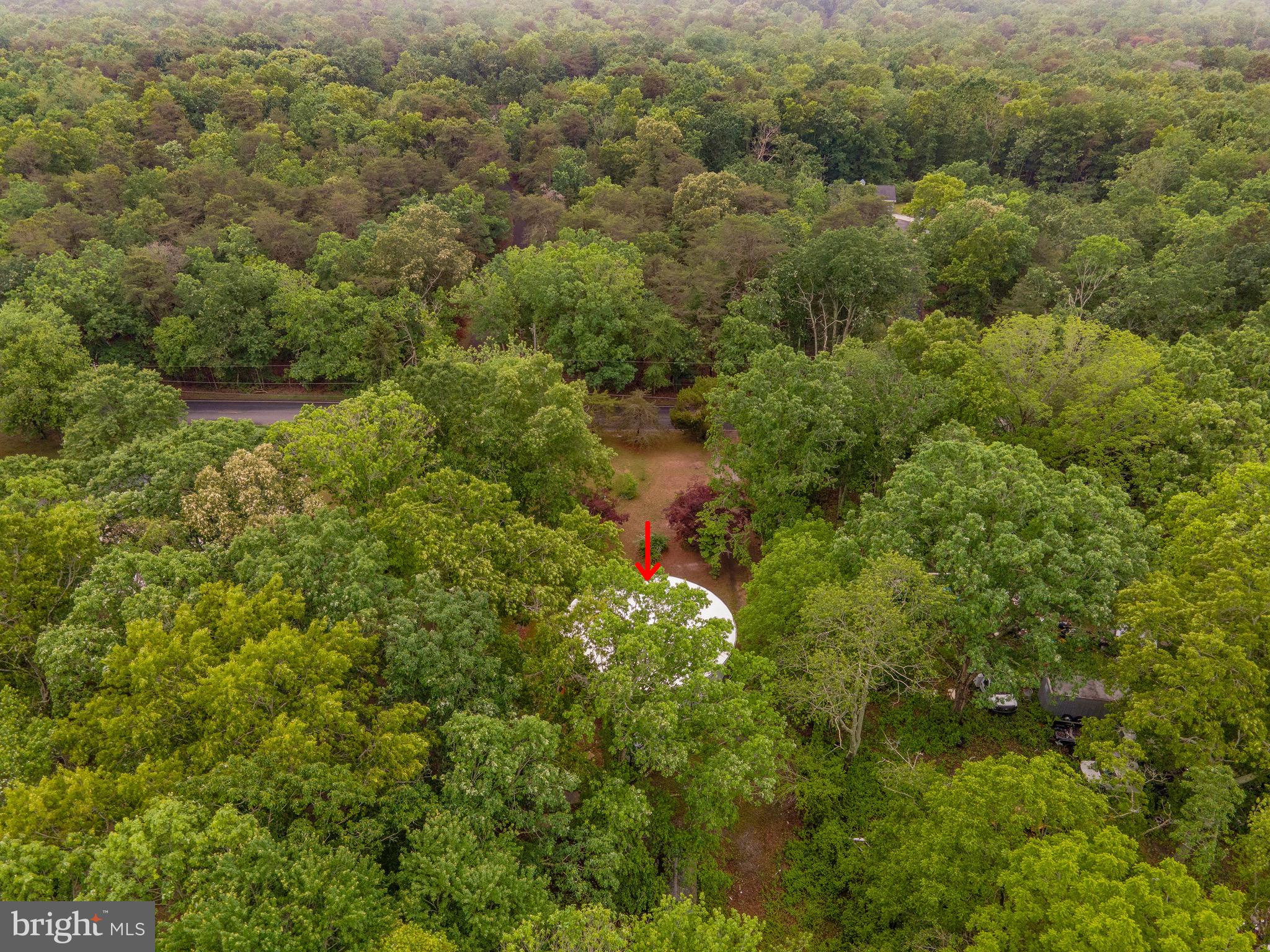 188 Carlisle Place Road Leesburg, NJ 08327 - Photo 33 of 36 a view of a forest with a houses